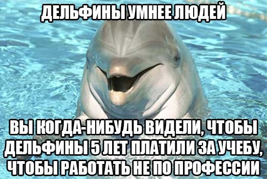 ���������� #2157115
