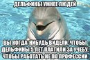 ���������� #2157115