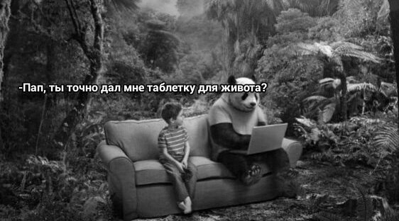 ���������� #2157143