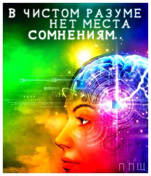 ���������� #2157161