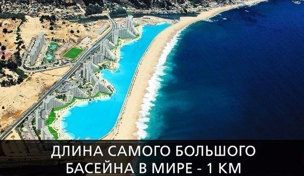 ���������� #2157330