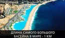 ���������� #2157330