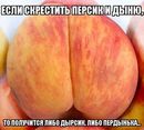 ���������� #2158629