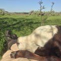��� � ������� ����� � �������...
