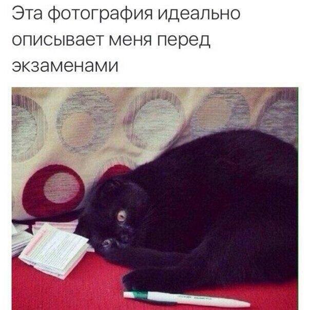 ���������� #2160119