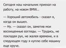 ���������� #2160192