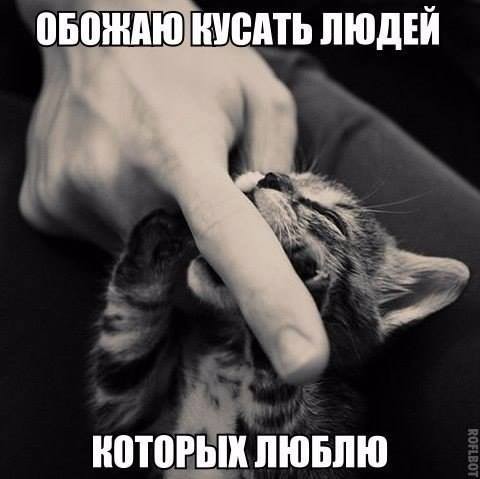 ���������� #2161129
