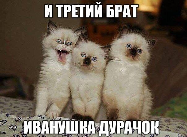���������� #2161343