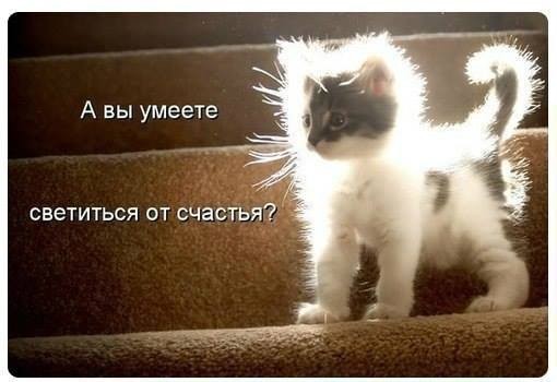 ���������� #2160252