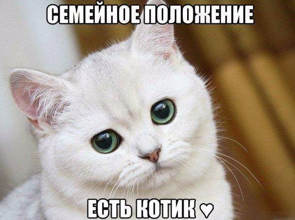 ���������� #2162007
