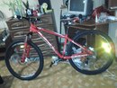 Proton 4.0 29er