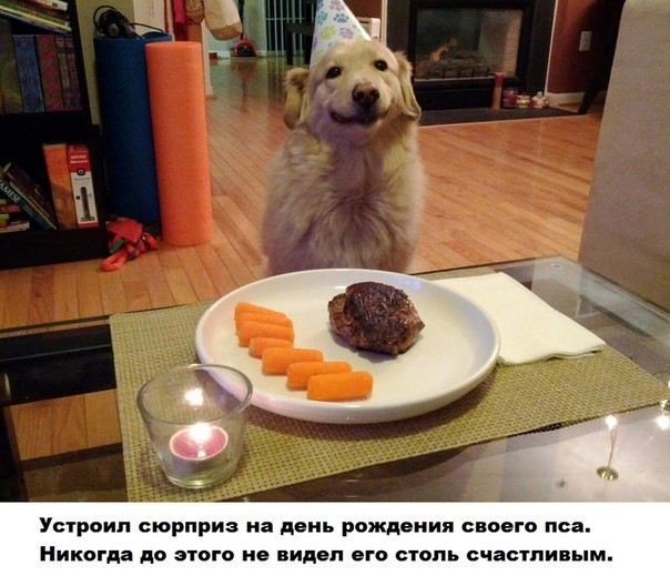 ���������� #2162770