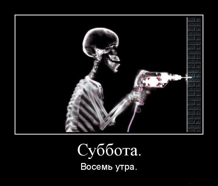 ���������� #2163089