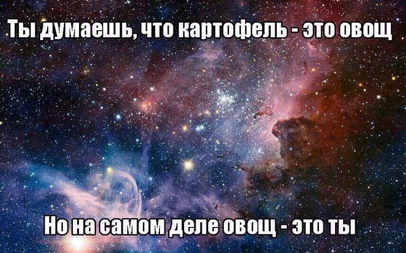���������� #2163605