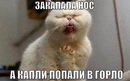 ���������� #2164303