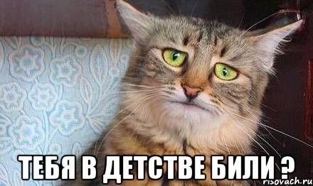 ���������� #2164403