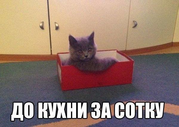 ���������� #2164969
