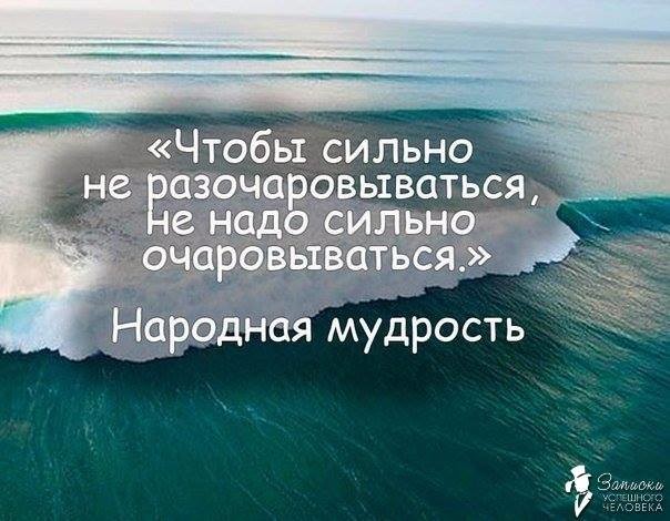 ���������� #2165144