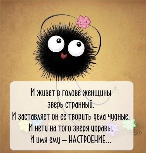 ���������� #2165816