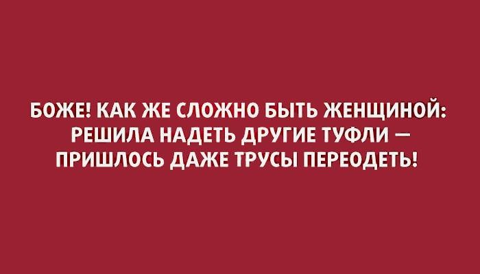 ���������� #2166308