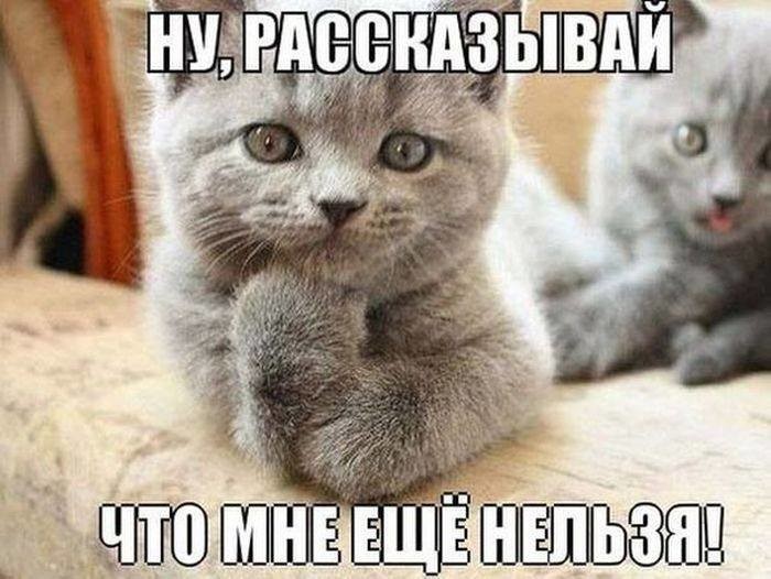 ���������� #2166563