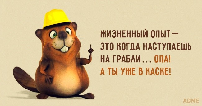���������� #2160854