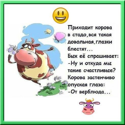 ���������� #2168213