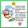 ���������� #2168213