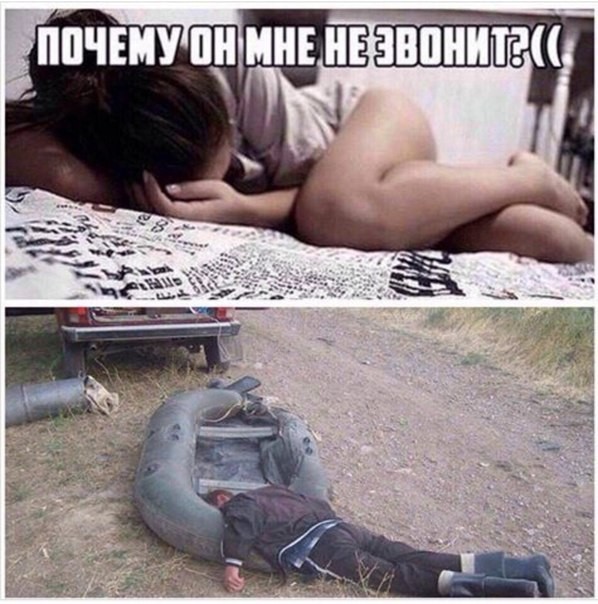 ���������� #2169739