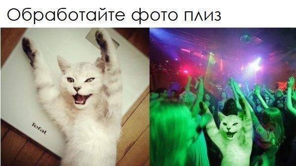 ���������� #2169741