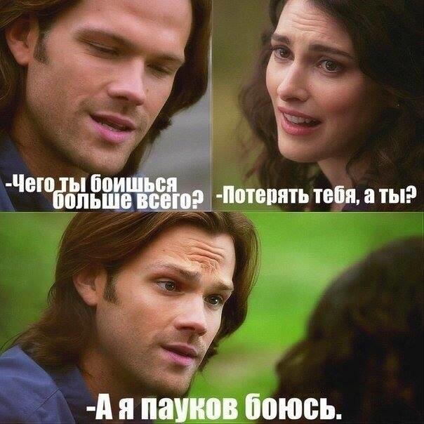 ���������� #2171521
