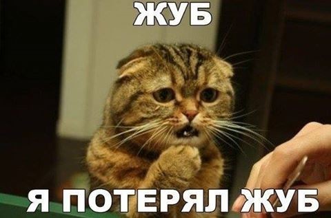 ���������� #2171750
