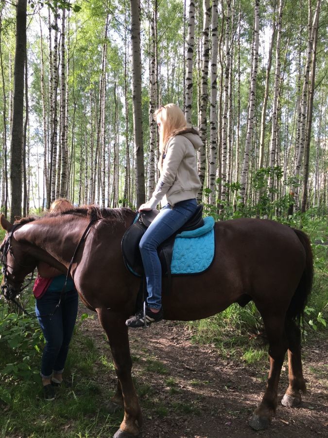 ���������� #2172022