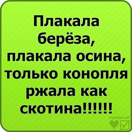 ���������� #2172192