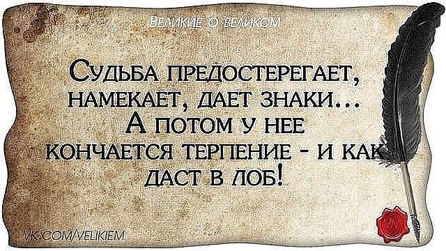 ���������� #2172271