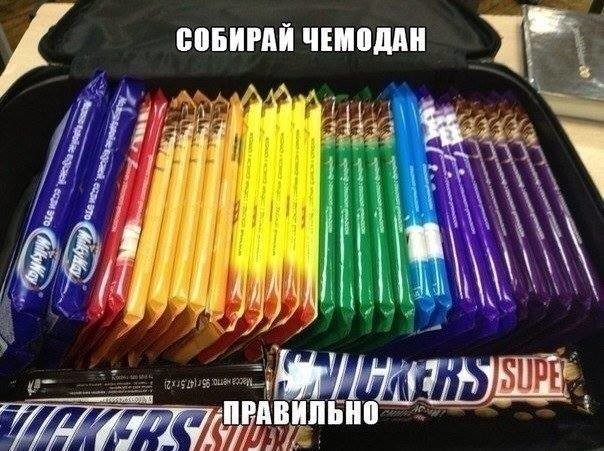 ���������� #2172588