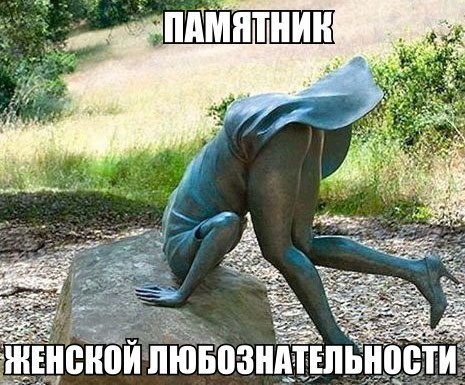 ���������� #2173481