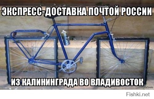 ���������� #2174083