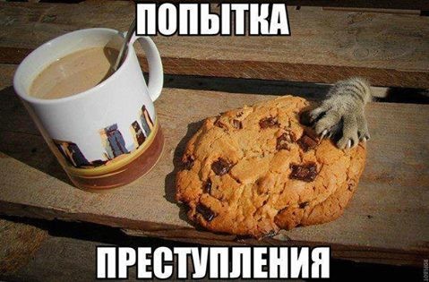 ���������� #2174238