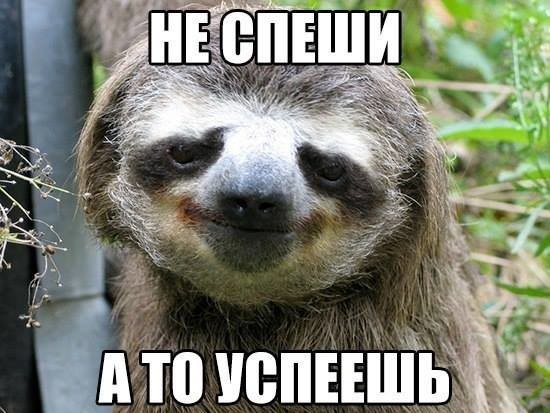 ���������� #2174559