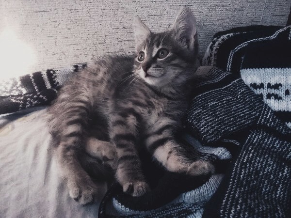 �������-������
