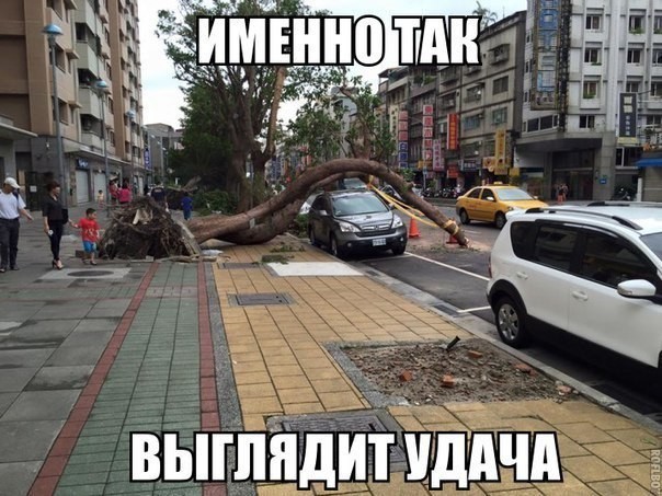 ���������� #2175348