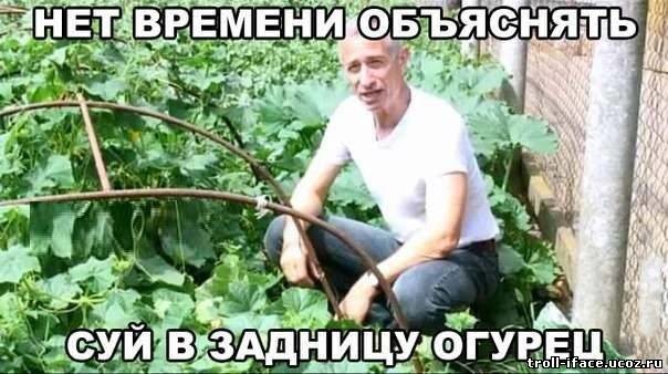 ���������� #2175355