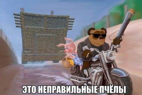 ���������� #2175647