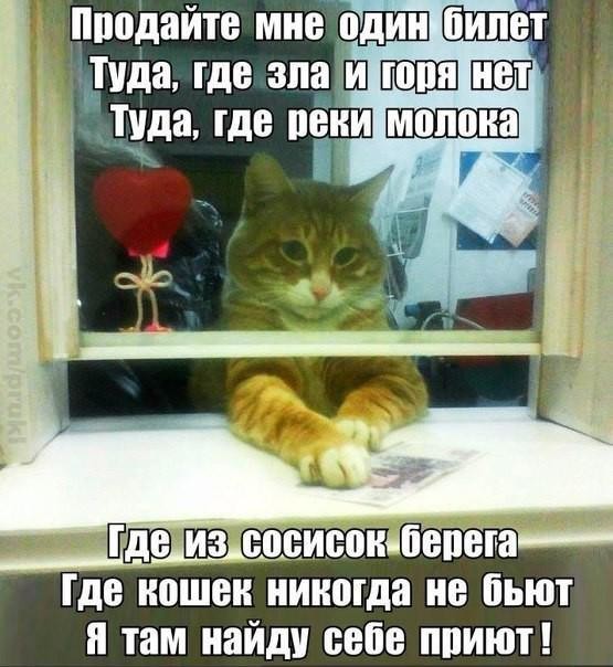 ���������� #2176557