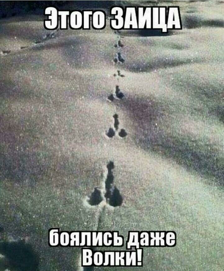 ���������� #2181576