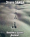 ���������� #2181576