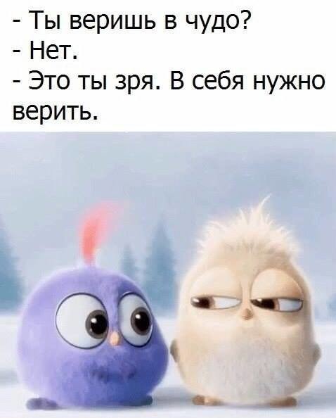 ���������� #2183491
