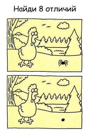 ���������� #2183958