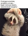 ���������� #2184037